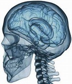 boala Meniere - tratamentul bolilor ORL in clinica Ihilov (Ihilov) boala Meniere - tratamentul bolilor Clinica ORL Ichilov