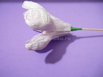 Buchet de dulciuri (bomboane) Buchet de dulciuri