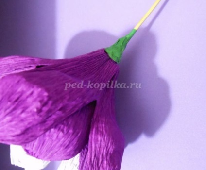 Buchet de dulciuri (buchet) Buchet de dulciuri