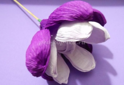Buchet de dulciuri (culori) Buchet de dulciuri
