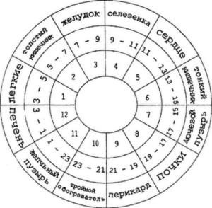 Orele de deschidere a rețelei sociale a corpului de farmaciști (organism) Orele de deschidere a rețelei sociale a corpului de farmaciști