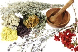 Se umezește mucoasa nazală 1 (ajutor Laura) Umeziți mucoasa nazală 1
