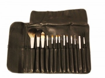 Ce să cumpere un artist începător make-up (trusa de make-up artist) Ce să cumpere un artist începător machiaj