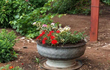 paturi Cabană (cultivarea florilor în țară) paturi cabana