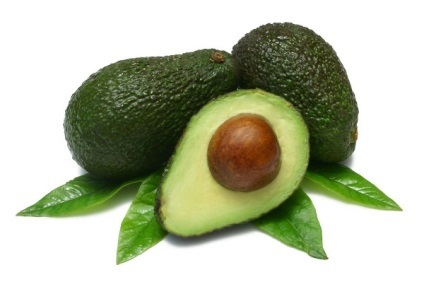 Avocado copac la fotografie acasă (avocado) Avocado copac la fotografie acasă