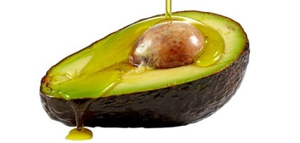Avocado copac la fotografie acasă (acasă) Avocado copac la fotografie acasă