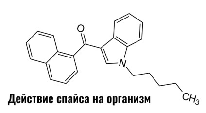 acțiune Spice asupra organismului uman (comportamentul, sistemul de reproducere etc. (ca condiment acționează asupra corpului uman) Spice acțiune asupra organismului uman (comportamentul, sistemul de reproducere, etc.