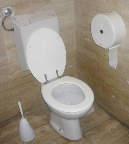 Diareea dupa masa cauze (după) Diareea dupa masa cauze