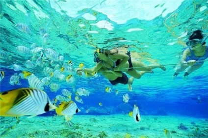 Excursii în Cuba - locuri interesante care merită o vizită! (Locuri) Excursii în Cuba - locuri interesante care merită o vizită!