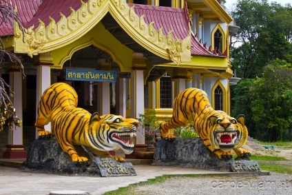 Excursii pentru a vedea și în cazul în care pentru a merge, Amazing Thailand (View) Excursii pentru a vedea și în cazul în care pentru a merge, Amazing Thailanda