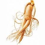 Erectie in timpul somnului cauze, tratament (tratament) Erectie in timpul somnului cauze, tratament