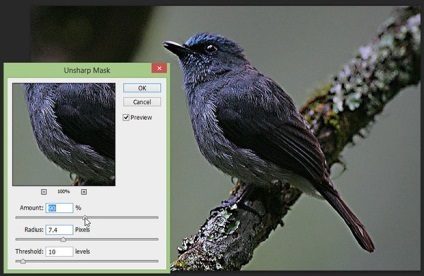 Filtre Photoshop Partea 1 (Proiect Proiect Bun Bun) Filtre Photoshop Partea 1
