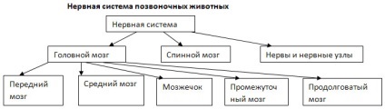 GDZ - răspunsuri la registrul de lucru în biologie