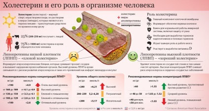 dieta de scadere a colesterolului - opțiunile de meniu pentru săptămâna (opțiuni) opțiunile de meniu pentru săptămâna - dieta de scadere a colesterolului