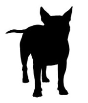 Anul caracteristicile câine și compatibilitate (câine) Anul caracteristicilor câine și compatibilitatea