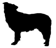 Anul caracteristicile câine și compatibilitate (compatibilitate) Anul caracteristicilor câine și compatibilitatea