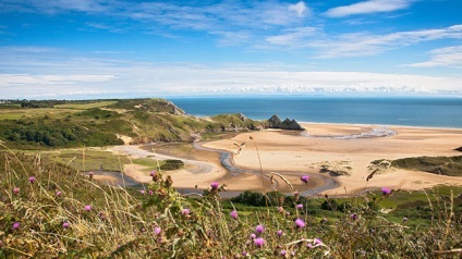 Swansea (Swansea) (Swansea) Swansea (swansea)
