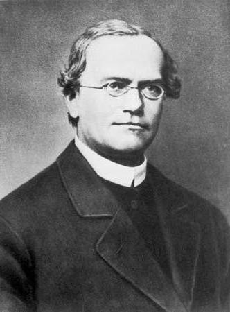 Gregor Mendel - fondatorul geneticii