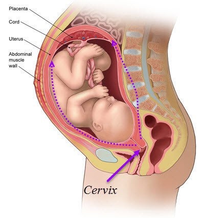 incompetenta cervicala