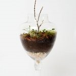Din orice pom din cele mai bune mobilier (orice tip de lemn este mai bine) Din orice pom din cele mai bune mobilier