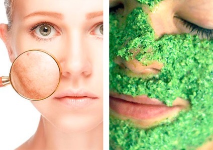De la măști faciale pătrunjel rețete - Albirea Masca de patrunjel (rețete) retete masti faciale patrunjel - Whitening Mask de patrunjel