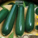 Zucchini descriere tsukesha soiuri de caracteristici de aterizare, cultivarea și întreținerea (dovlecel) Zucchini descriere tsukesha soiuri de caracteristici de aterizare, cultivare și întreținere