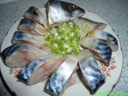 Cât de repede macrou marinat 2 ore (macrou timp de două ore) Cât de repede marinat macrou 2 ore