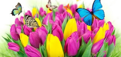 Ce flori să înflorească în luna mai (care) Ce flori să înflorească în luna mai