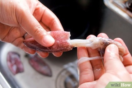 Ca calmari marinată (squid) Cum se marineaza calmarul