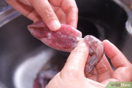 Ca murătură calmari (decapant) Cum se marineaza calmarul