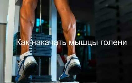 Cum de a construi tibie (șosete în picioare șosete Ascent) Cum de a construi tibie
