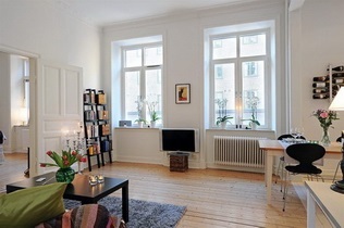 Cum de a dota un apartament de 50 de metri pătrați, 100 de idei de fotografie de design (apartament) Cum de a dota un apartament de 50 de metri pătrați, 100 fotografie idei de design