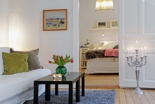 Cum de a dota un apartament de 50 de metri pătrați, 100 de idei de fotografie de design (apartament) Cum de a dota un apartament de 50 de metri pătrați, 100 fotografie idei de design