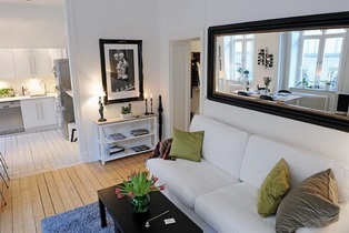 Cum de a dota un apartament de 50 de metri pătrați, idei de design 100 fotografie (idei) Cum de a dota un apartament de 50 de metri pătrați, 100 fotografie idei de design