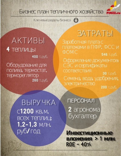 Cum de a deschide o afacere cu efect de seră de la sol cu un plan de afaceri calcule (pentru sere) Cum de a deschide o afacere cu efect de seră de la sol cu un plan de afaceri calcule