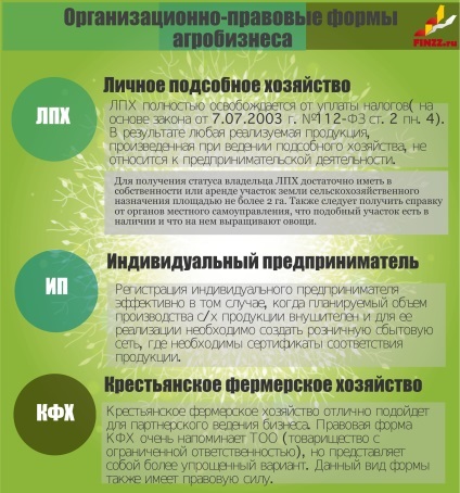 Cum de a deschide o afacere cu efect de seră de la sol cu un plan de calcule de afaceri (zero) Cum de a deschide o afacere cu efect de seră de la sol cu un plan de afaceri calcule
