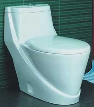 Care toaletă pentru a alege alegerea producătorului, materiale și designul (selectați) Care toaletă pentru a alege alegerea producătorului, materiale și design-