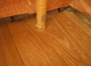 linoleum Ca laic (linoleum) Cum să se stabilească linoleum