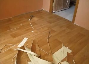 linoleum Ca laic (linoleum) Cum să se stabilească linoleum