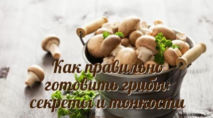 Cum de a găti ciuperci secrete și subtilități (Cook) Cum de a găti ciuperci secrete și subtilități