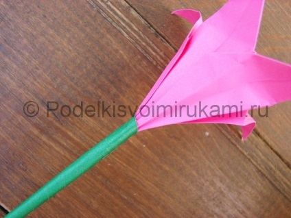 Cum sa faci un buchet de crini de hârtie (cu propriile lor mâini pentru a face) Cum sa faci un buchet de crini de hârtie