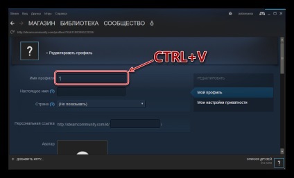 Cum de a face porecla invizibil la stimulent (porecla Steam invizibil) Cum de a face porecla invizibil la stimulent