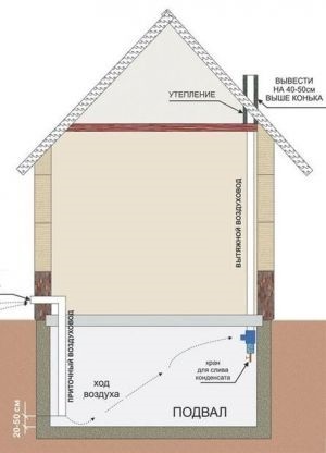Cum se face ventilația în pivniță (ventilație) Cum se face ventilația în pivniță