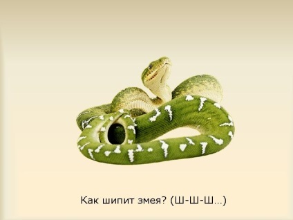 Cum șuierat sarpe - prezentare 305-47 (ca) Cum șuierat șarpe - prezentare 305-47