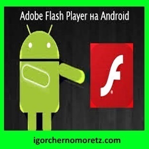 Cum de a descărca și instala Adobe Flash Player pe Android - blogul Igorya Chernomortsa