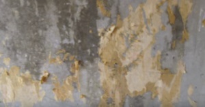 Cum de a elimina tapet vechi, pentru a repara și finisare (Wallpaper) Cum de a elimina tapet vechi, pentru a repara și finisare