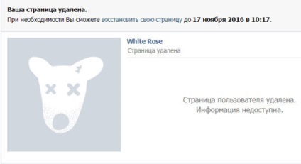 Cum de a elimina sau congela pagina în VK (VKontakte) (VKontakte) Cum de a elimina sau congela pagina în VK (VKontakte)