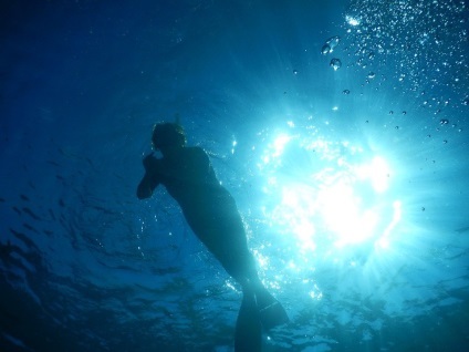 Cum de a alege aripioarele pentru spearfishing, și să nu fie confundate (sub apă) Cum de a alege aripioarele pentru spearfishing, și să nu fie confundate