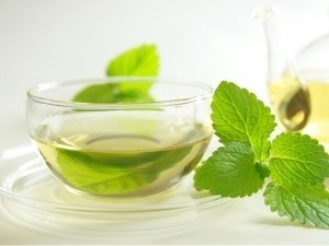 Cum să crească la domiciliu menta (menta) Cum să crească menta la domiciliu