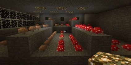 Minecraft cum să crească ciuperci (ciuperci) Cum să crească ciuperci în Minecraft